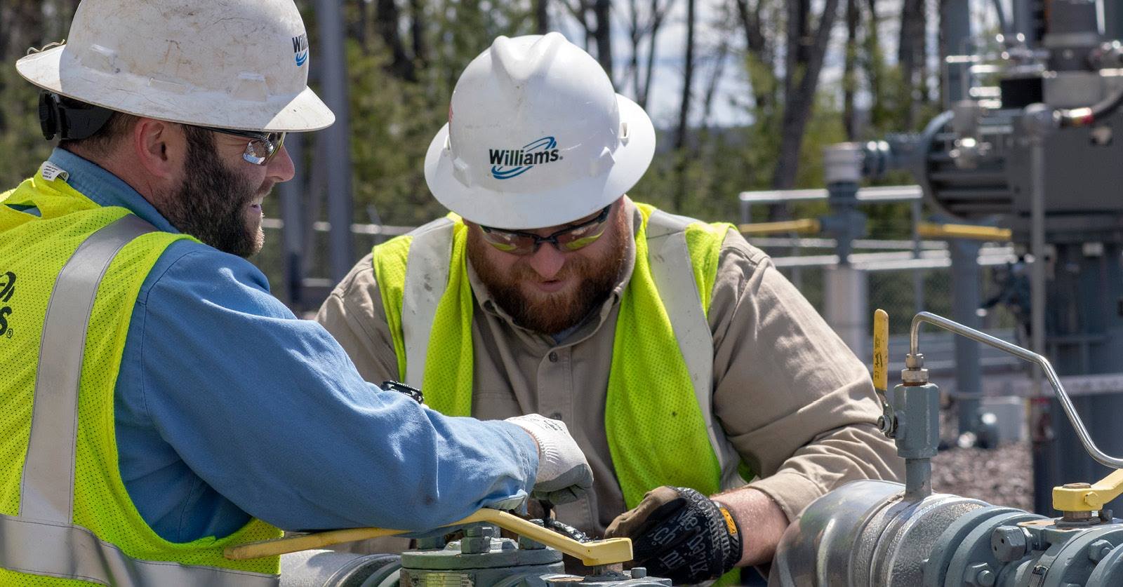 Williams seeks permit to put Cove Point LNG feeder pipeline into service