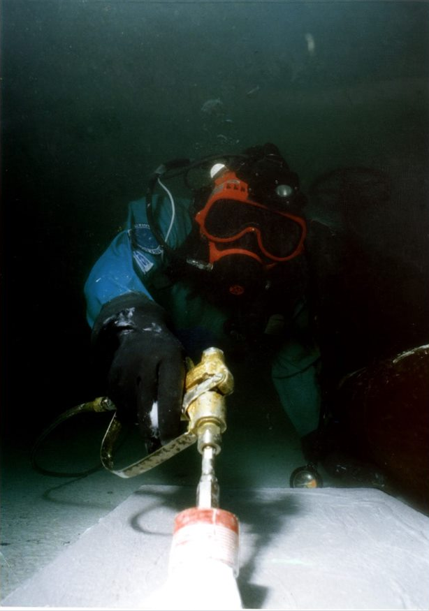 Alocit can be easily applied under water with a pumped brush.