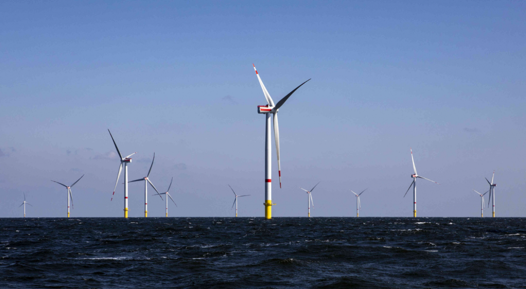 Total's Belgian subsidiary to buy all of Rentel's electricity