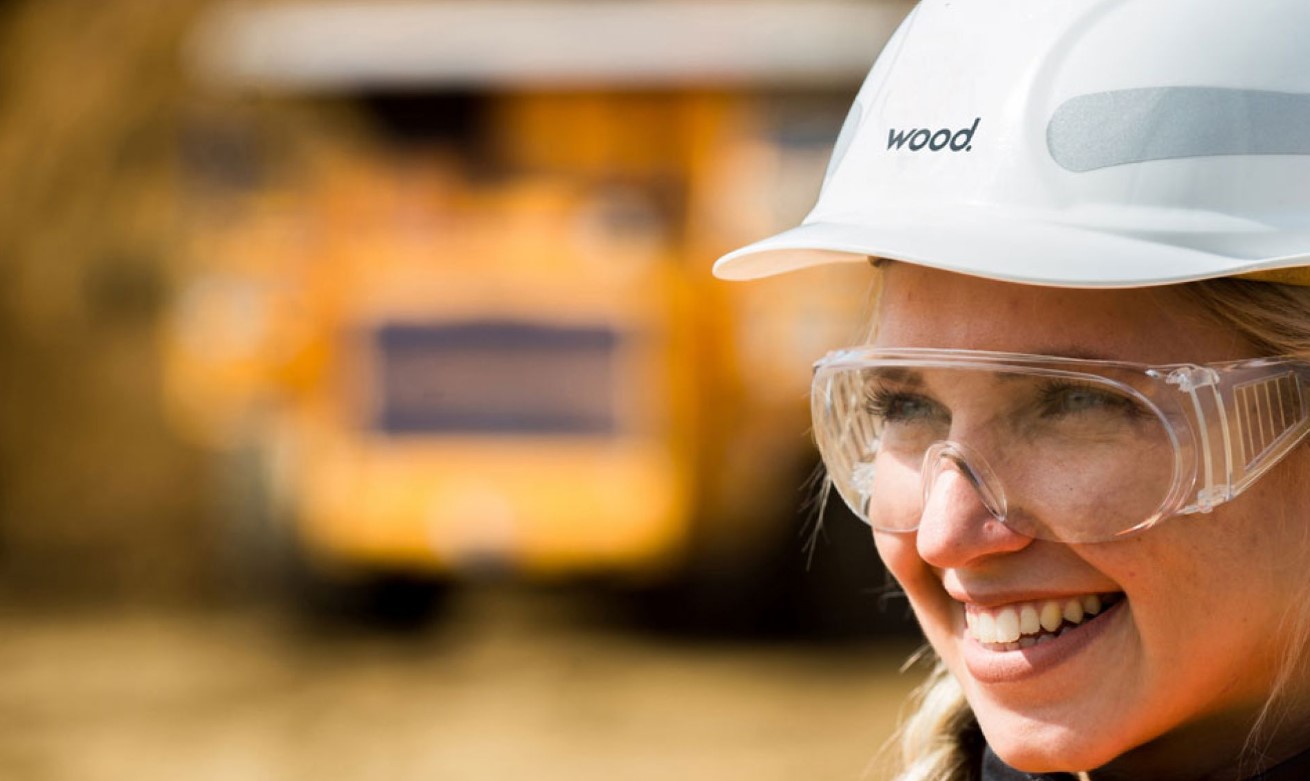 Wood looking for greenhouse gas emissions reduction by 2030; Source: Wood