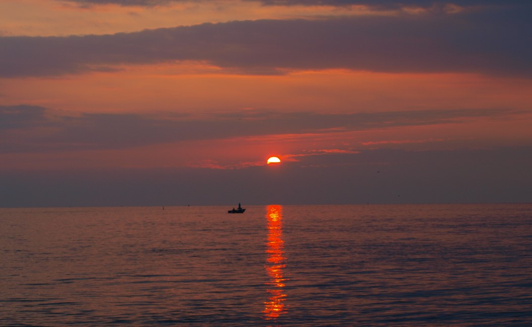 Illustration; Photo by Zoran Tarade (image used under permission from photographer)