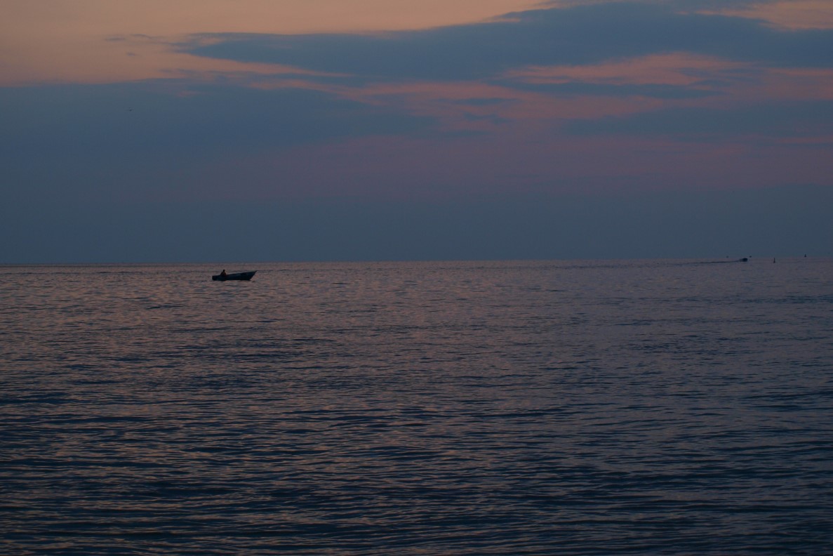 Illustration; Photo by: Zoran Tarade (used under permission from photographer) Providence Barryroe SpotOn