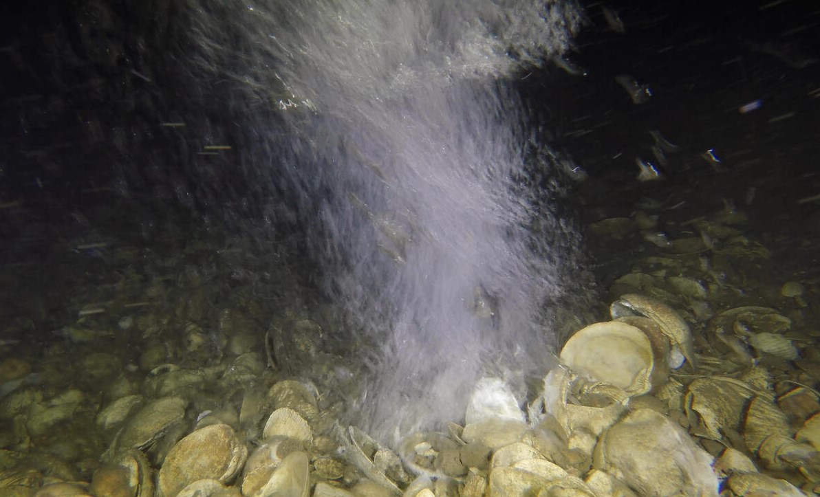 One of the leaking gas craters; Source: © Greenpeace