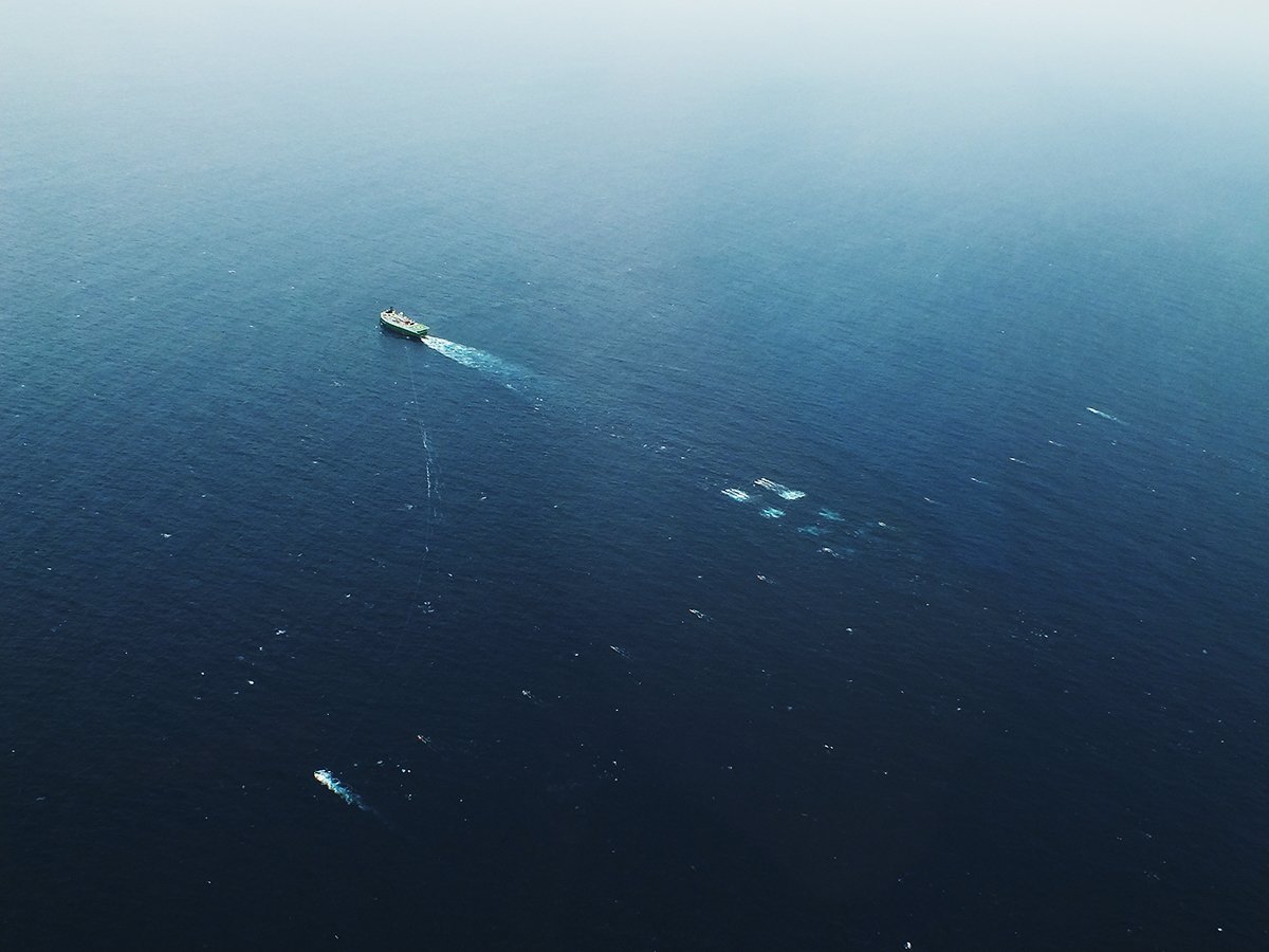 marine seismic acquisition