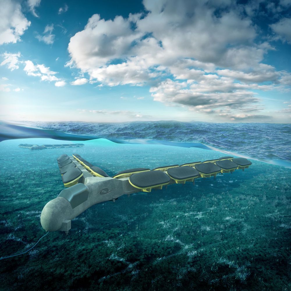 An image of a Bombora's mWave concept (Courtesy of Bombora Wave Power)