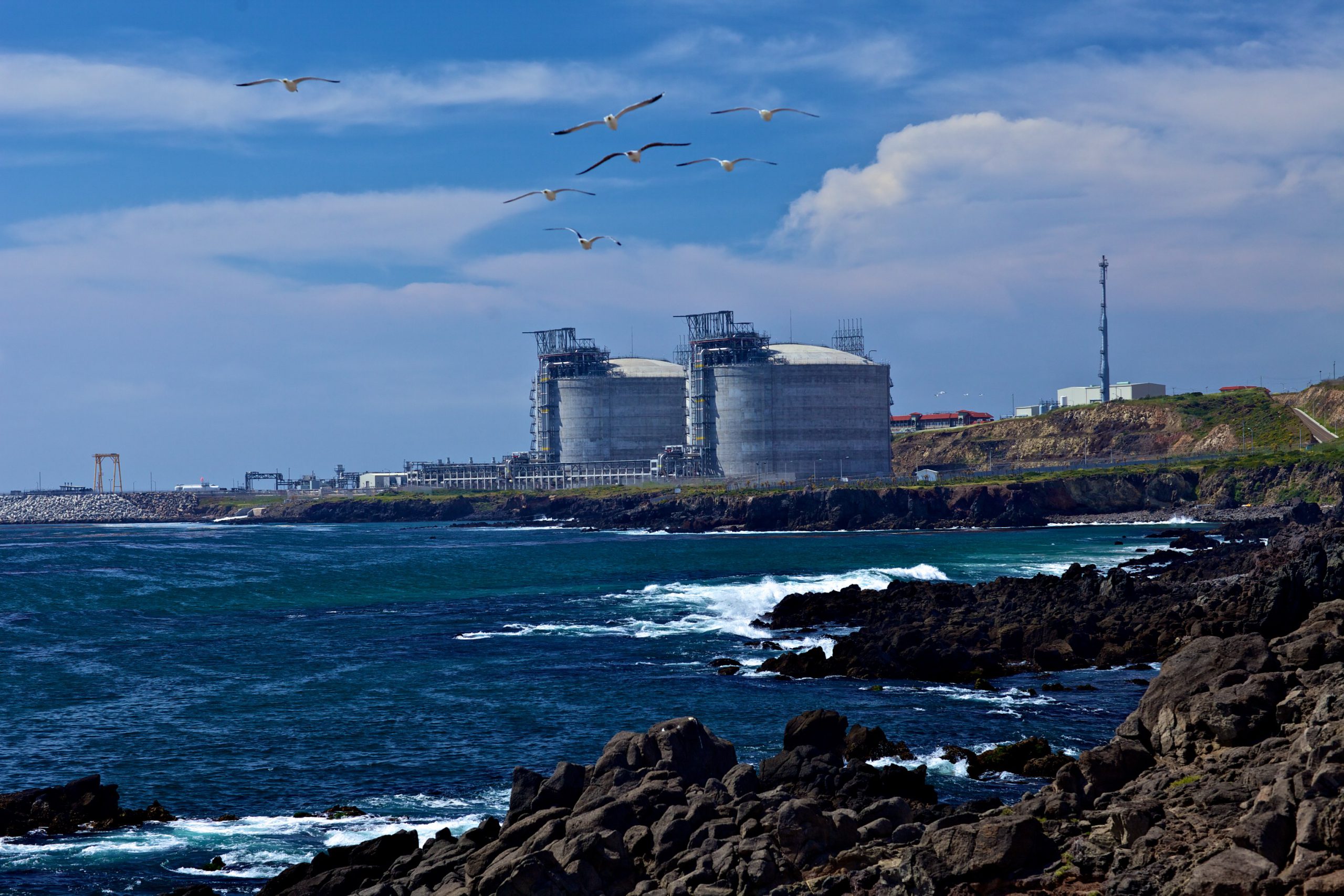 TechnipFMC told to proceed with ECA LNG job