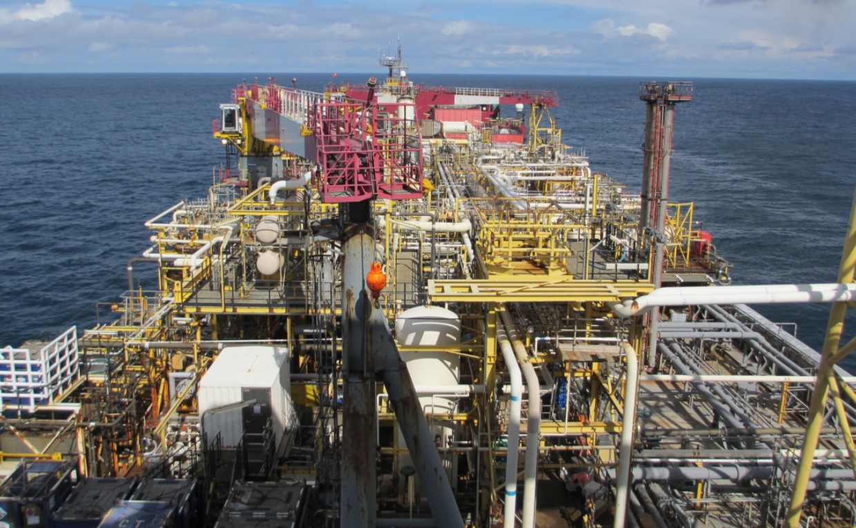 Illustration; Source: Hibiscus Anasuria Marigold