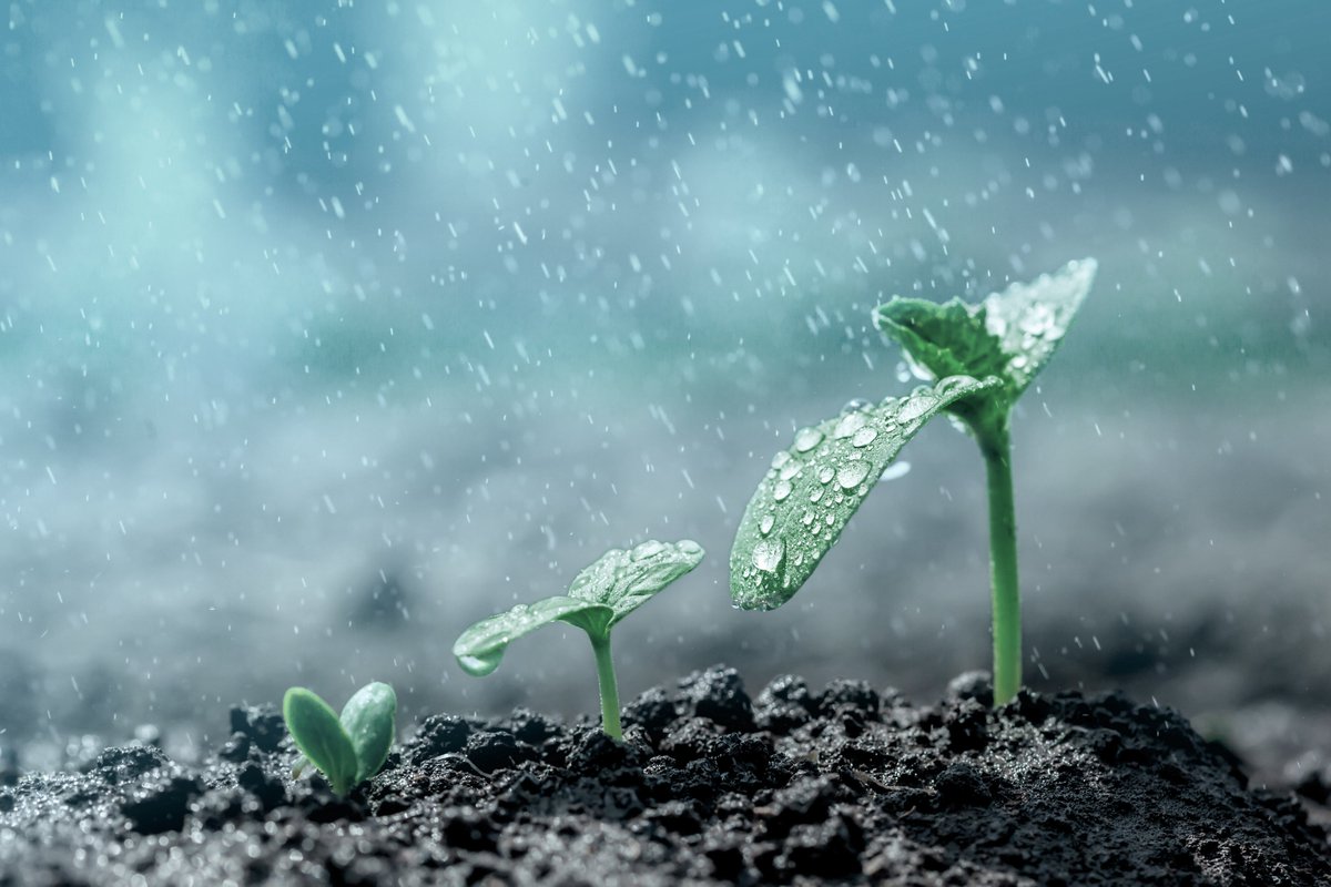 Green and blue hydrogen investments to jump in 2021