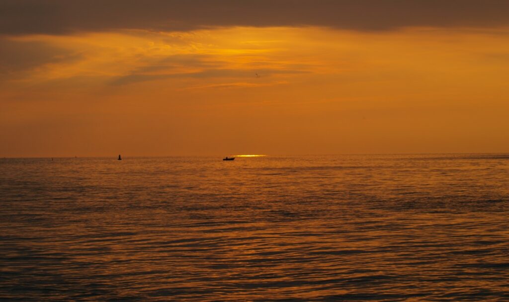 Illustration; Photo by: Zoran Tarade (used under permission from photographer) Shell Ecopetrol