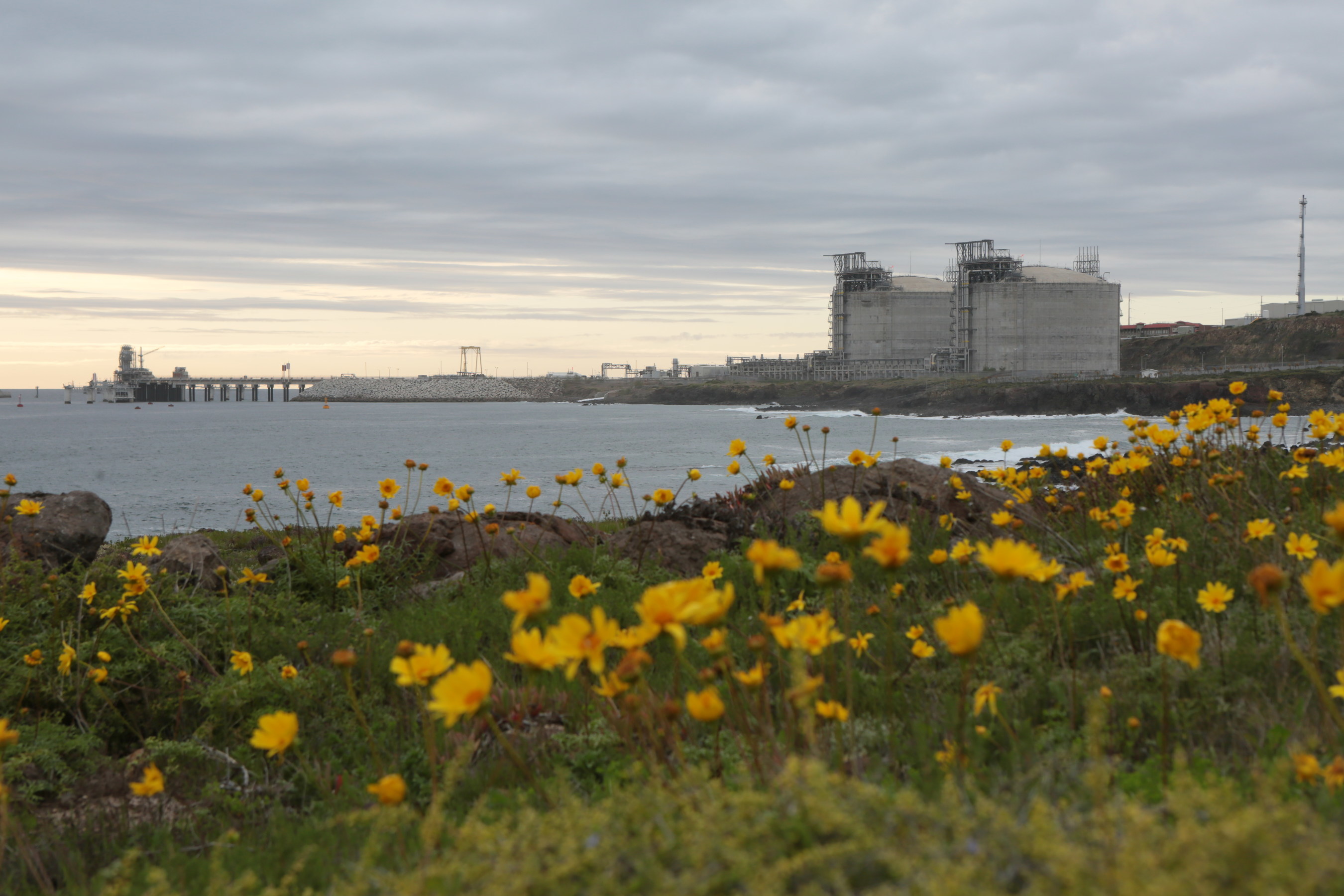 Total closes ECA LNG stake acquisition