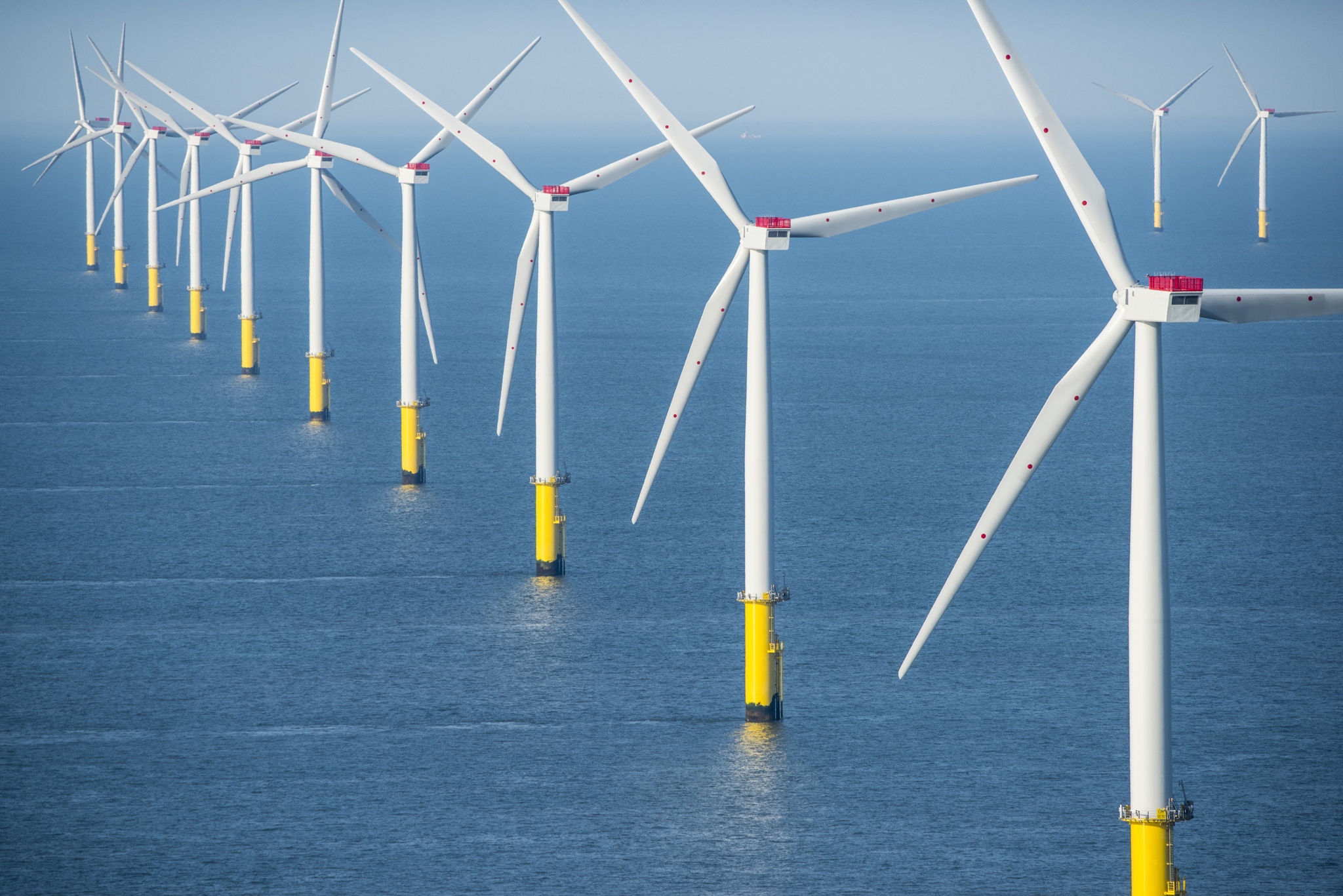 An offshore wind farm