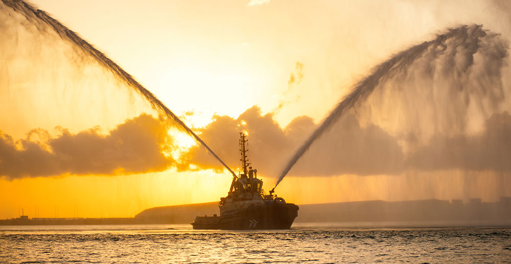 Illustration; Source: Abu Dhabi Ports Safeen Allianz