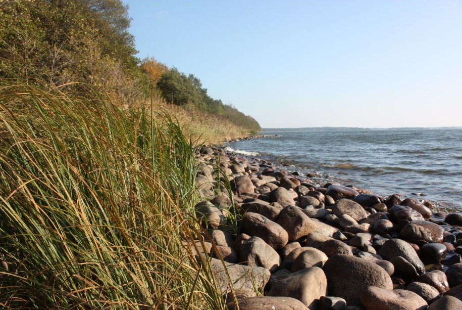 Cloudberry-and-Downing-Sign-Sale-Deal-for-Swedish-Lake-Wind-Farm