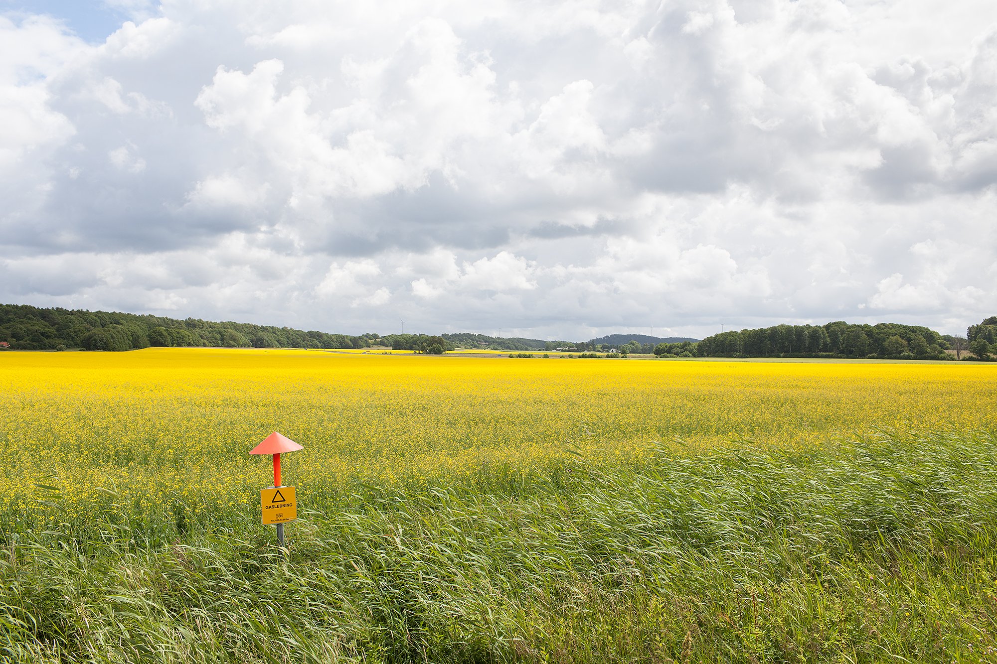 Enagás shortens zero-emissions target by 10 years