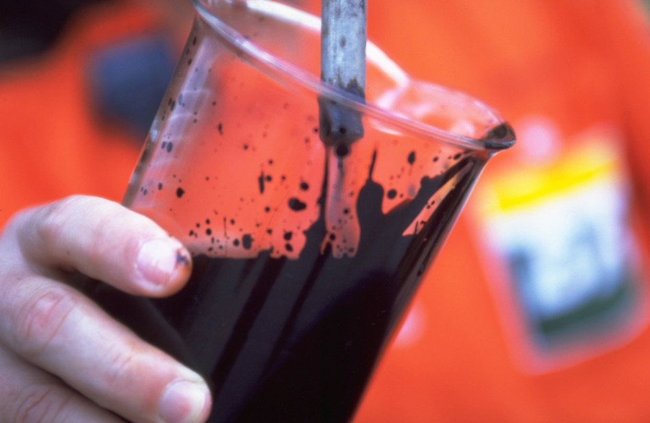 Illustration; Source: Petrobras