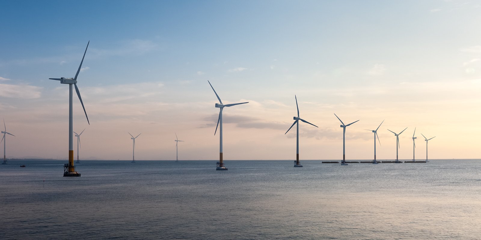 An offshore wind farm