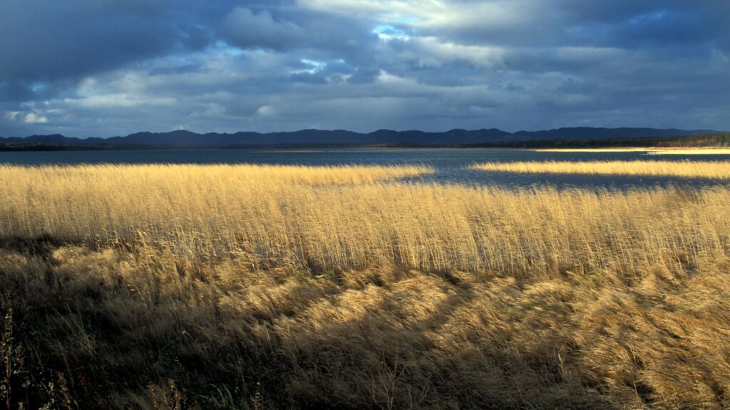 Rosneft, BP in carbon management pact