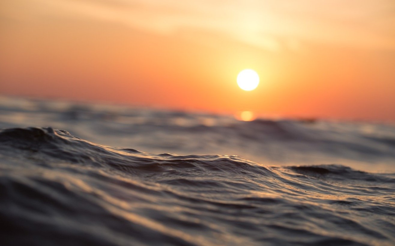 Illustration; Source: Pale Blue Dot Acorn