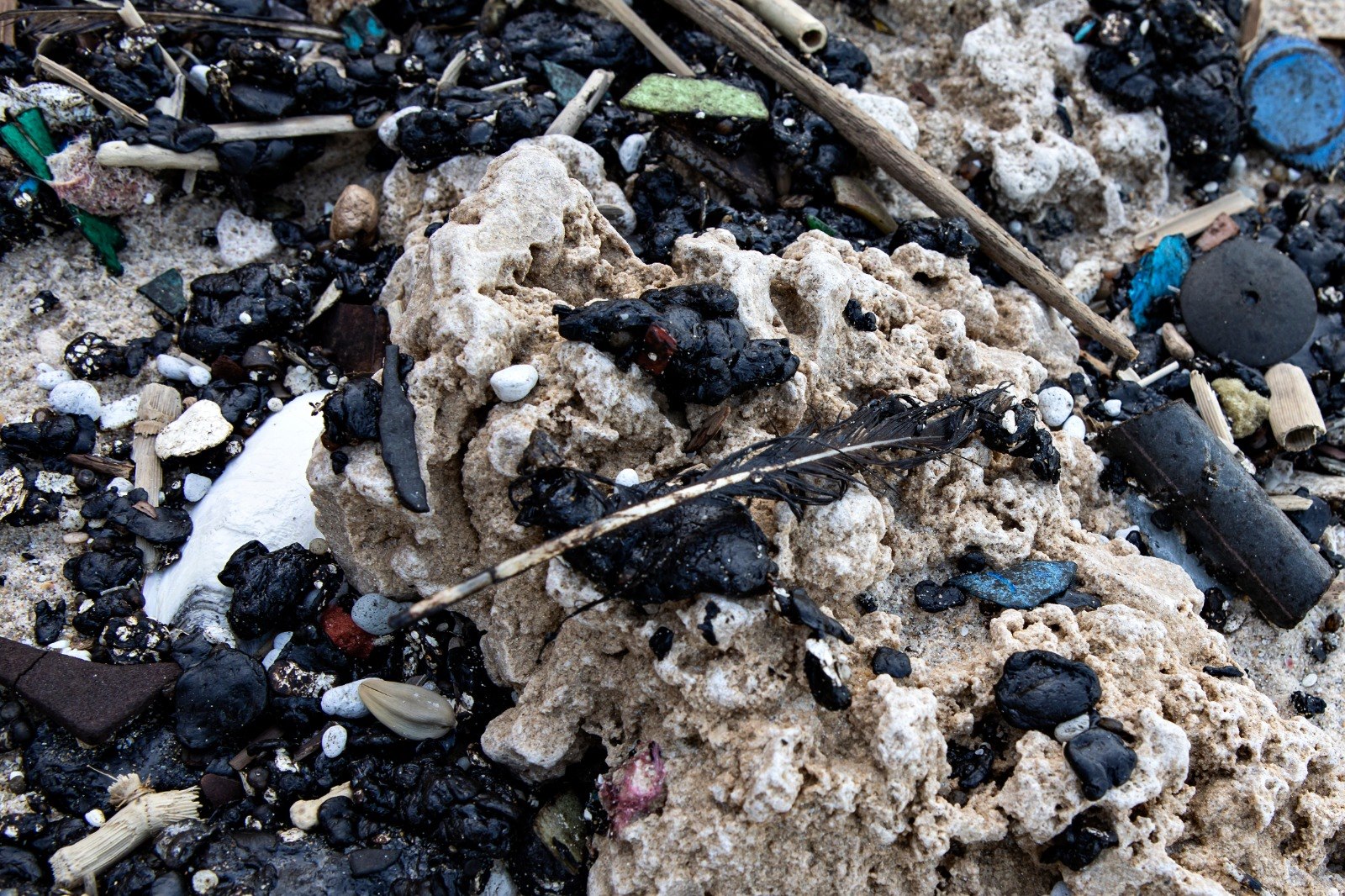 Tar on the beaches of Israel