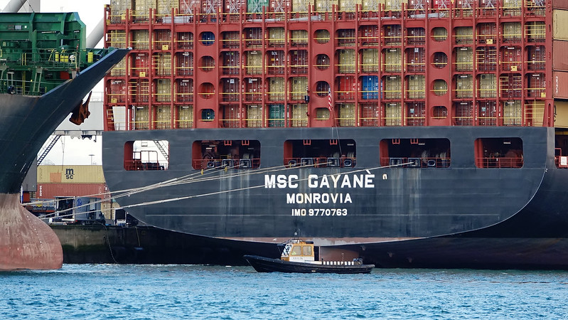 MSC Gayane
