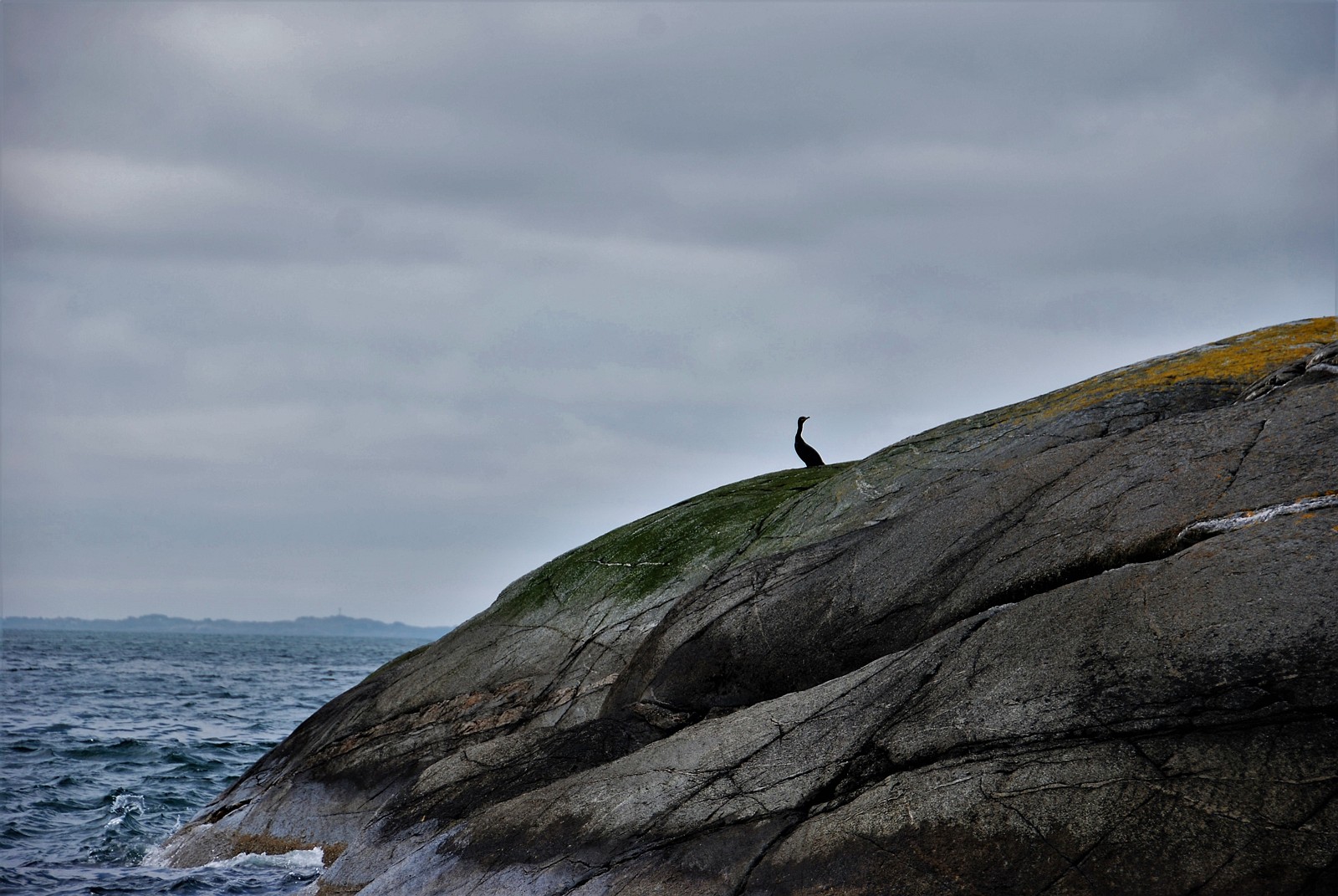 Horisont Energi, Equinor join in on Polaris carbon transportation and storage project