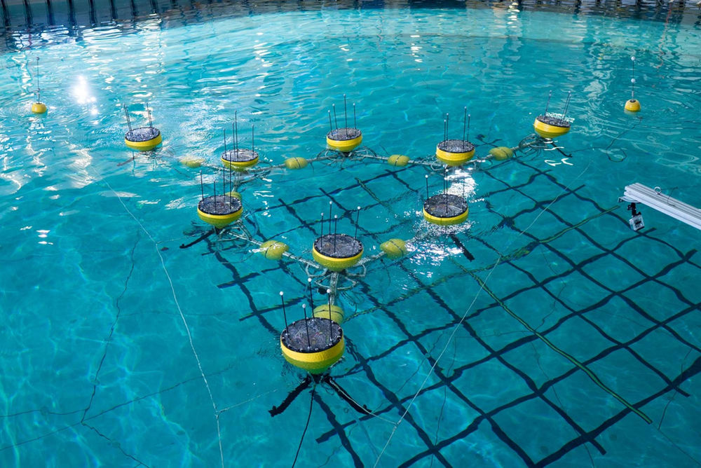 Illustration (Courtesy of Wave Energy Scotland - a project partner of DTOceanPlus)