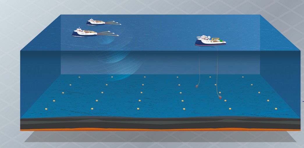 Parque-das-Baleias-seismic-acquisition-impending