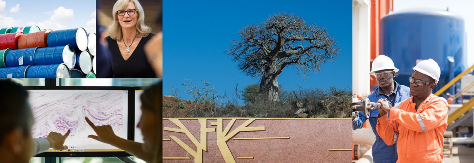 FAR withdrawing from Guinea Bissau as farm-down plans fell through