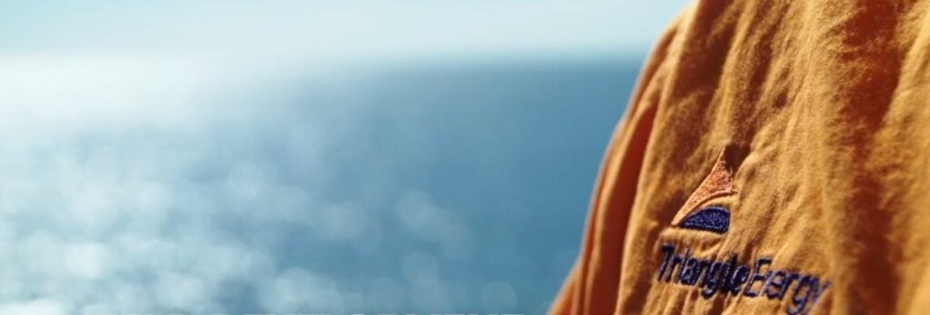 Triangle on the lookout for interim CEO as current one steps down