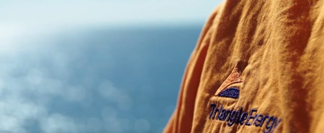 Triangle on the lookout for interim CEO as current one steps down