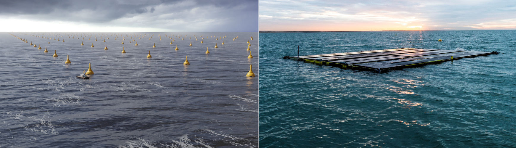 Illustration/CorPower Ocean’s wave energy tech; and Oceans of Energy’s floating solar unit (Courtesy of CorPower Ocean/Oceans of Energy)