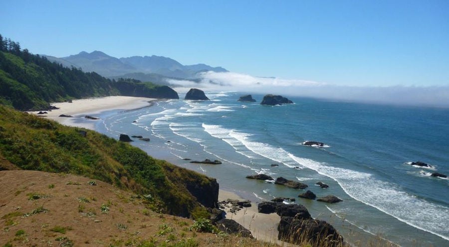 Illustration Courtesy of PSU)