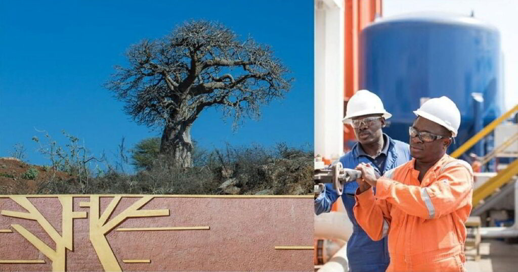 FAR appoints interim CFO