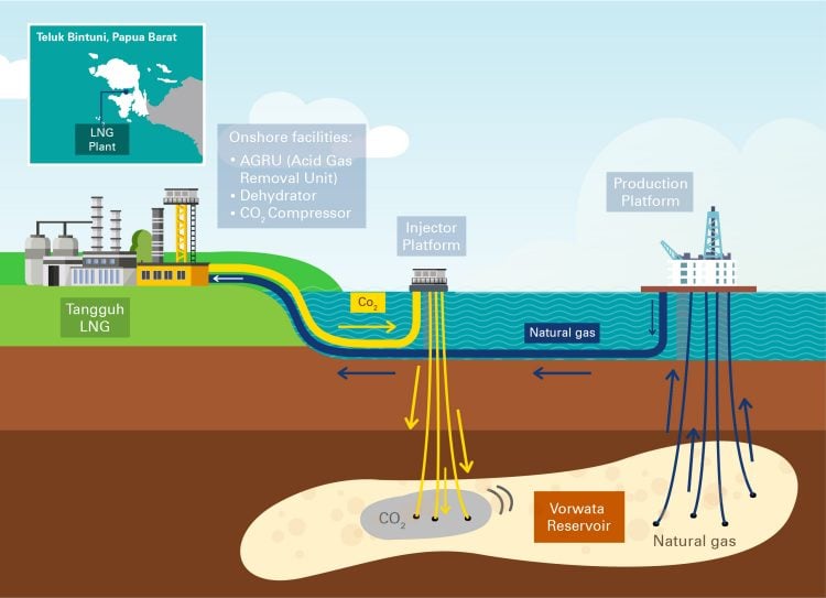 A diagram showing how CO2 will be injected back into the Vorwata reservoir through CCUS; Source: BP