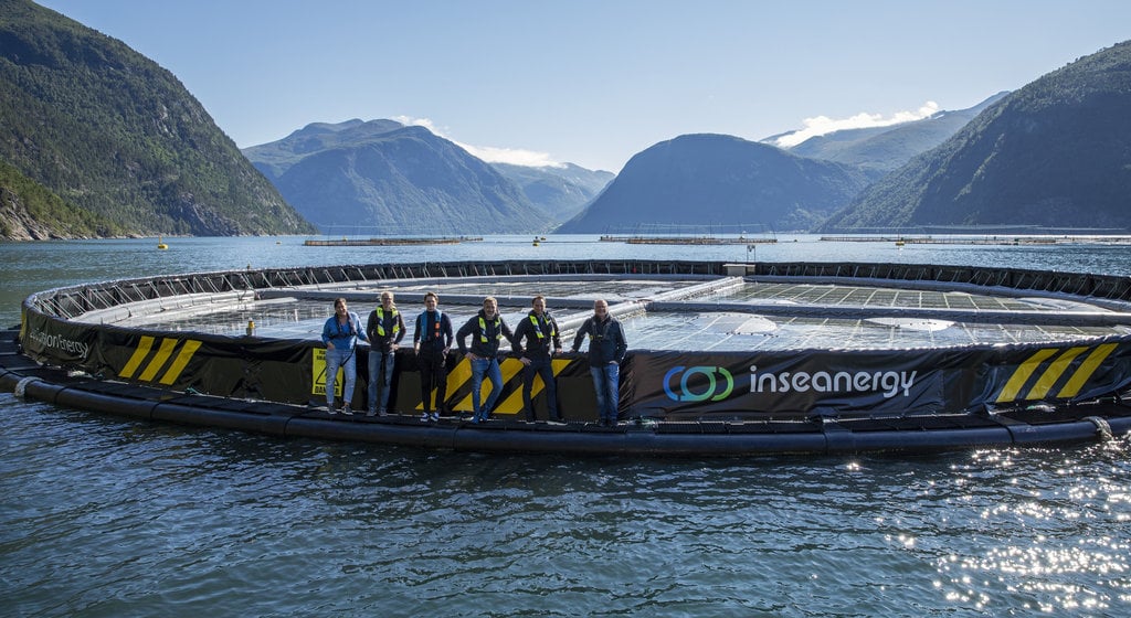 Inseanergy’s floating solar unit (Courtesy of Inseanergy)