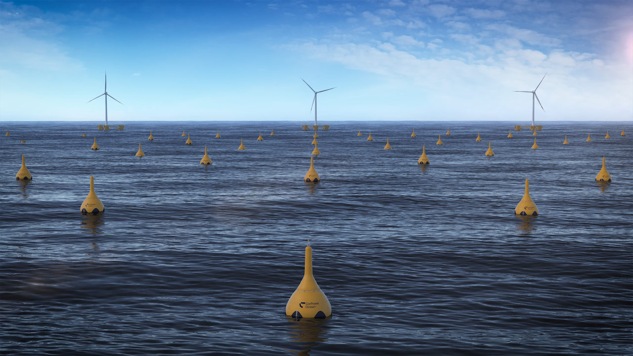 CorPower Ocean's wave energy farm (Courtesy of CorPower Ocean)