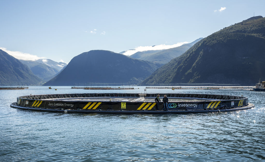 Inseanergy’s floating solar unit (Courtesy of Inseanergy/Photo by Kristin Stoylen)