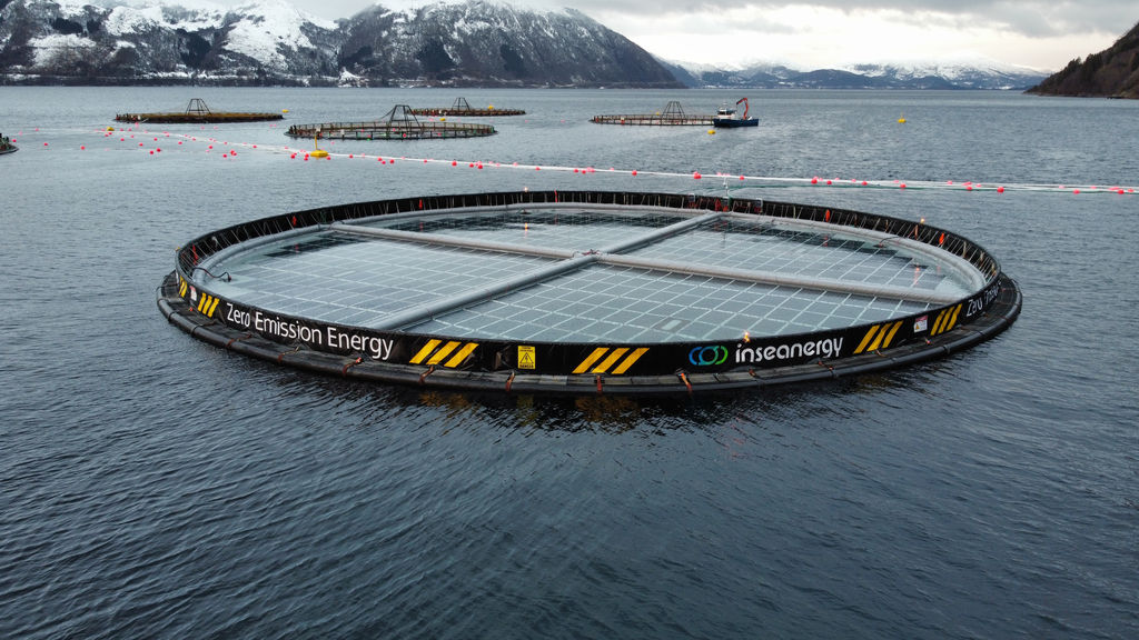 Inseanergy's floating solar technology (Courtesy of Inseanergy)