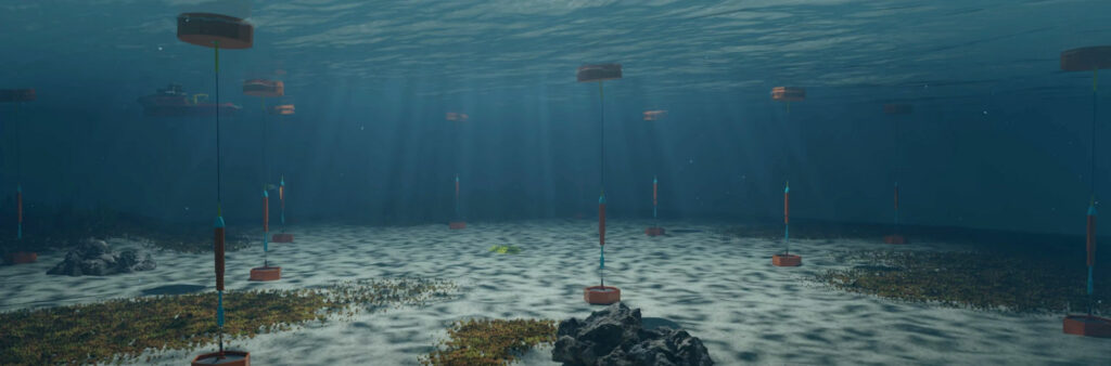 InfinityWEC wave energy farm (Courtesy of Ocean Harvesting Technologies)