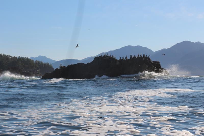 Community Empowerment through Wave Energy: A Model Initiative in Yuquot, BC