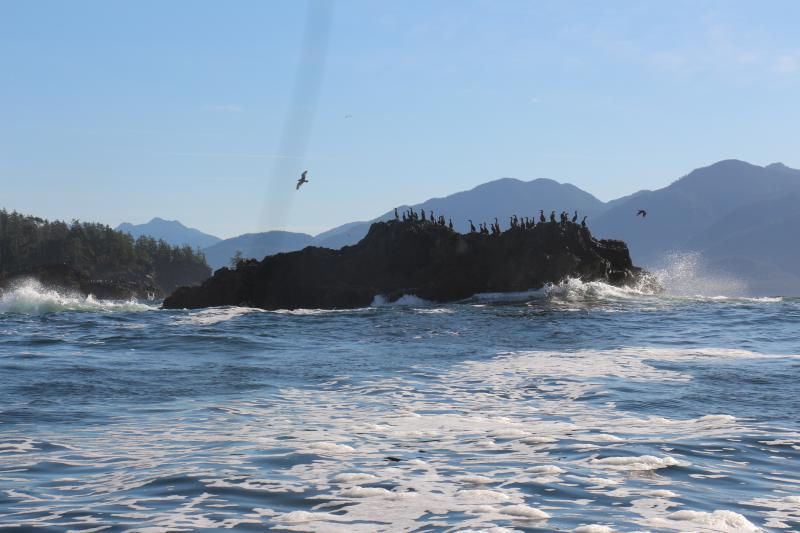 Indigenous-Led Wave Energy Project in Canada Chooses CalWave Technology