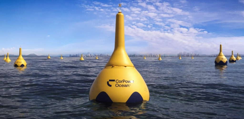 Illustration/CorPower Ocean's wave energy farm (Courtesy of CorPower Ocean)