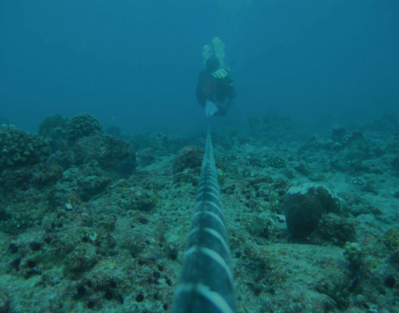 OEG Offshore buys compatriot subsea cable specialist - Offshore Energy