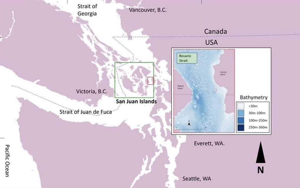 The location of San Juan Islands in Washington state (Courtesy of OPALCO)