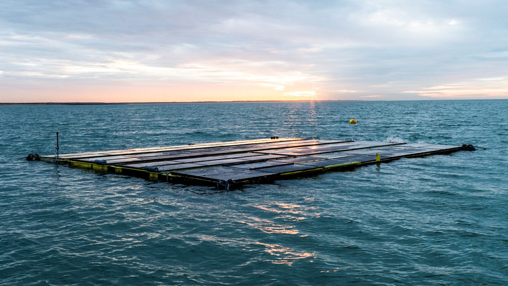 Illustration/Offshore floating solar system by Oceans of Energy, one of the companies supported by Ocean DEMO calls (Courtesy of Oceans of Energy)