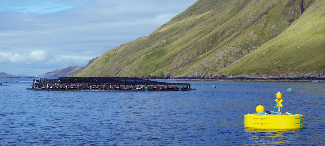 Illustration/Aqua Power Technologies’ MANTA wave energy device at salmon farm (Courtesy of Aqua Power Technologies)