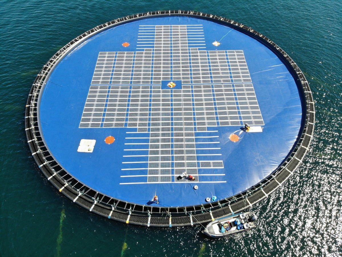 Illustration/Ocean Sun's floating solar tech (Courtesy of Ocean Sun)