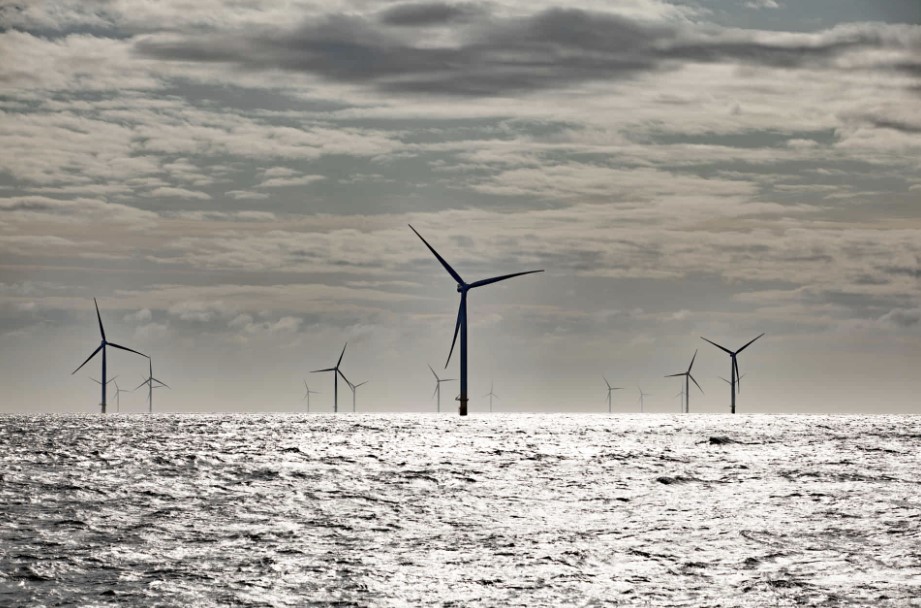 New solution recycles free seismic data to help wind farm developers