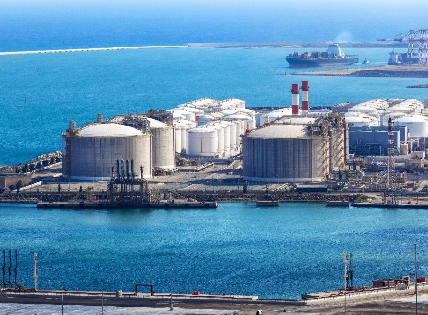 A plant on the coast