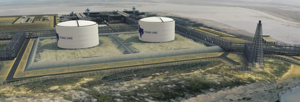 An illustration of two plants on the coast